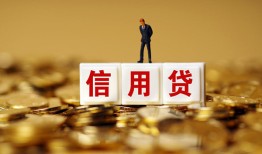 成都14哪有个人借贷-成都14小额贷款公司-成都14私借空放免费上门